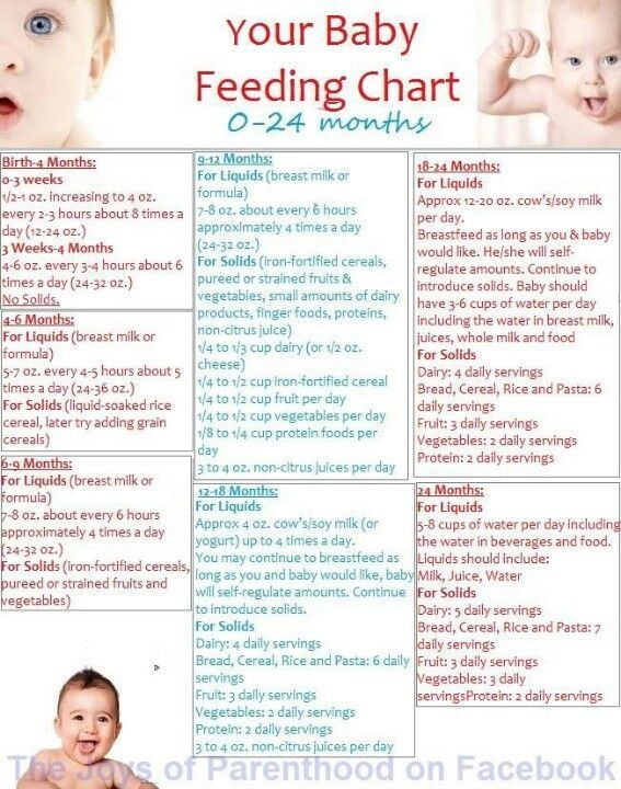 Newborn and Baby Feeding Schedule for 9-12 Months